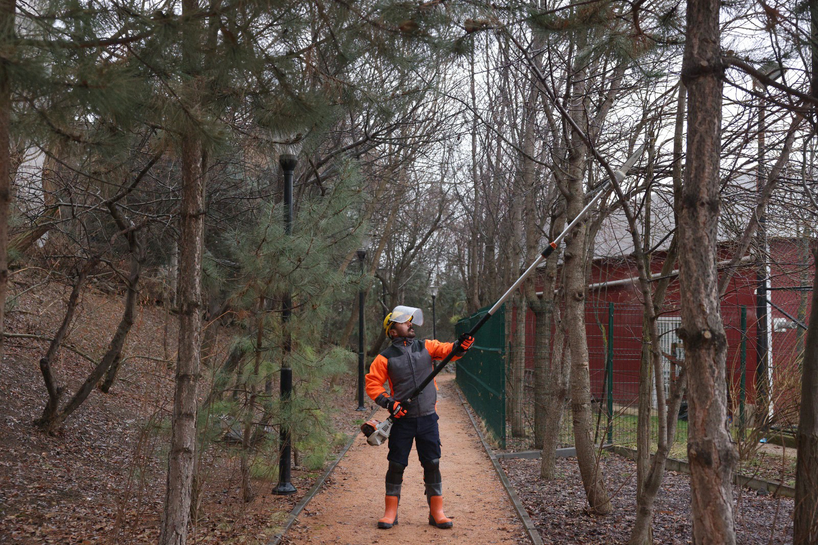 Çankaya’da Park Ve Sokaklarda Budama Çalışmaları (2)
