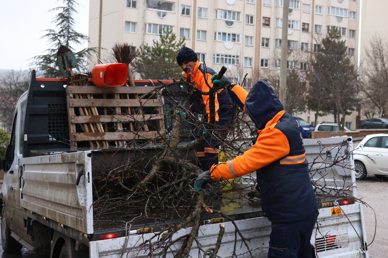 Çankaya’da Park Ve Sokaklarda Budama Çalışmaları (3)
