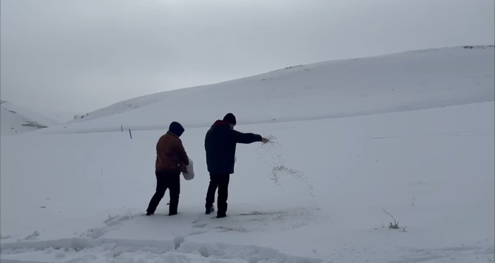 Darende’de Öğretmen Ve Öğrenciler Doğaya Yiyecek Bıraktı (2)
