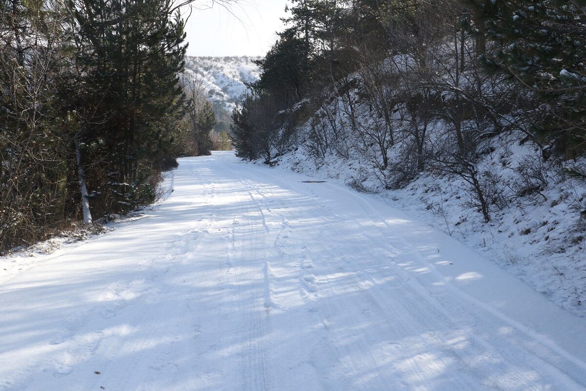 Eymir Gölü Kar Yağışıyla Beyaza Büründü (3)
