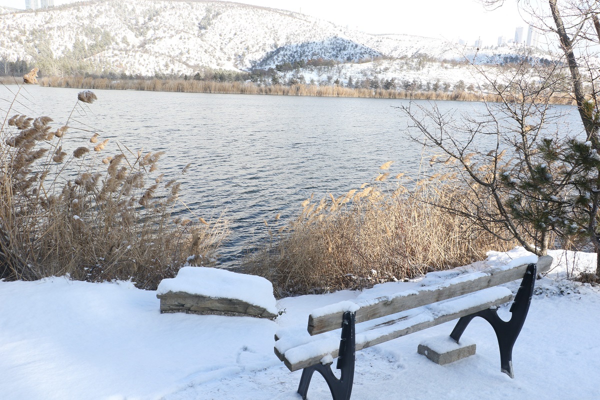 Eymir Gölü Kar Yağışıyla Beyaza Büründü (4)