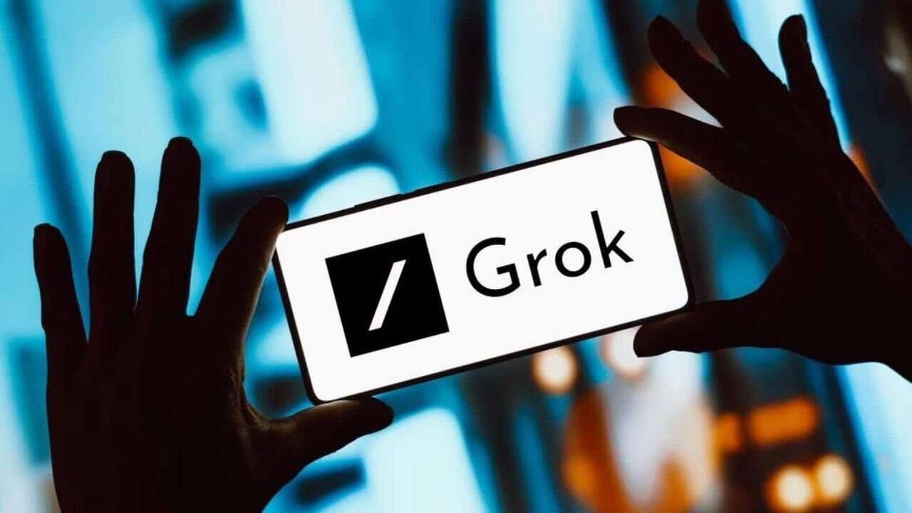 Grok (1)-1