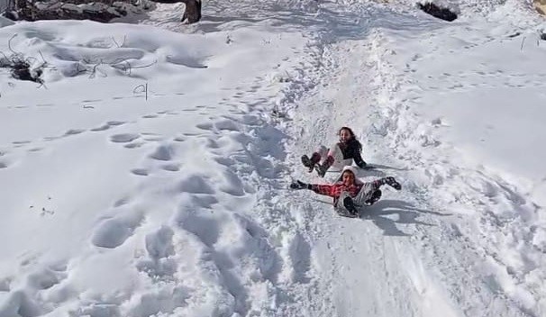 Malatya Böğürtlen (2)