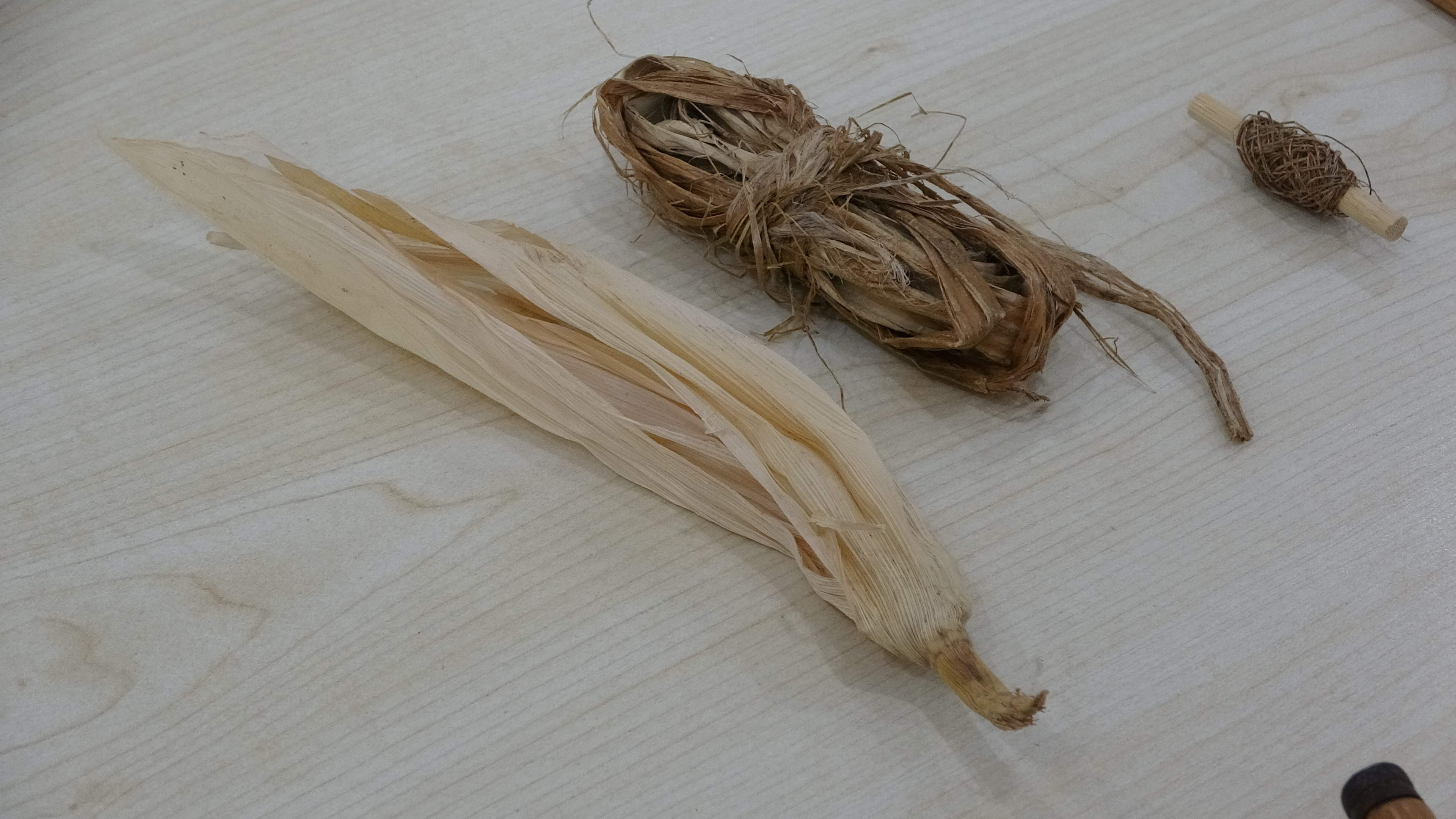 Mısır Koçanı (1)