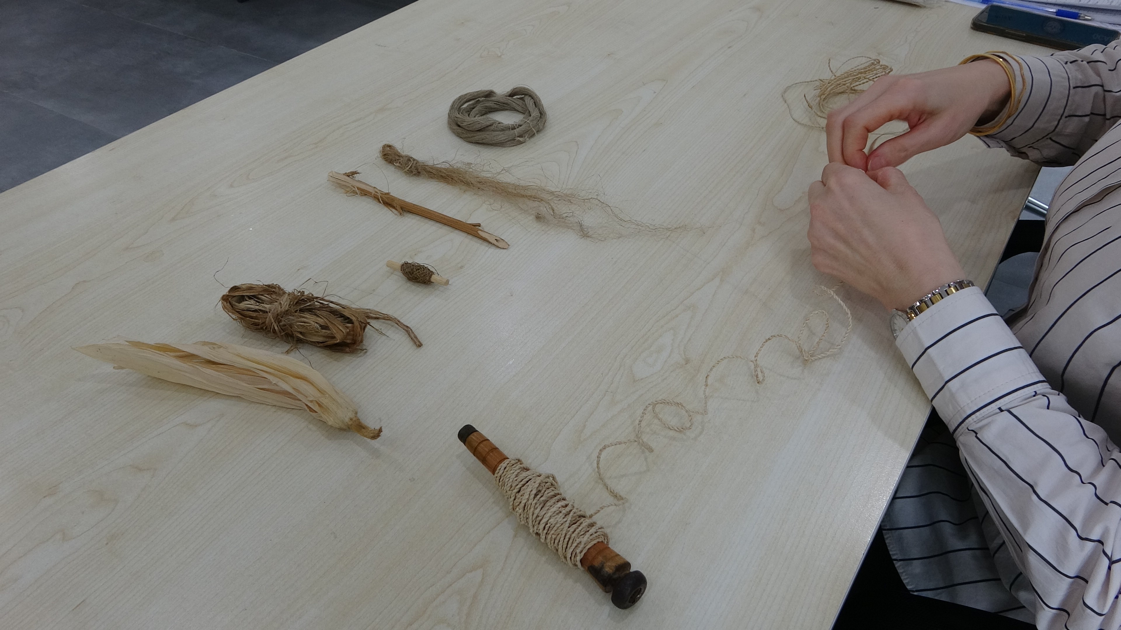 Mısır Koçanı (2)