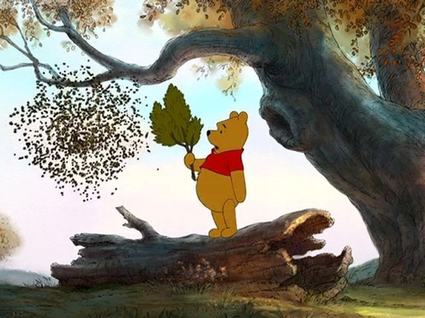 Winnie The Pooh (1)