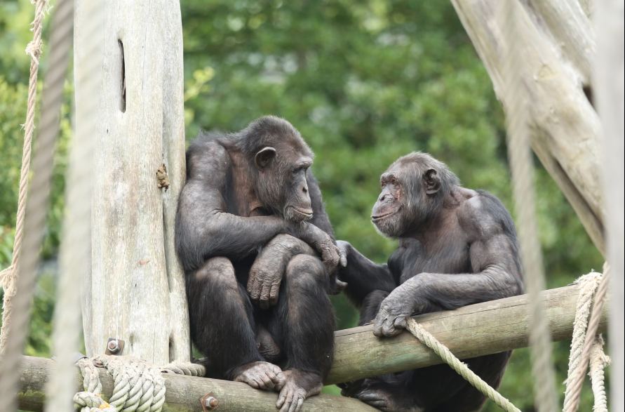 Ekran Resmi 2026 02 26 09.53.57