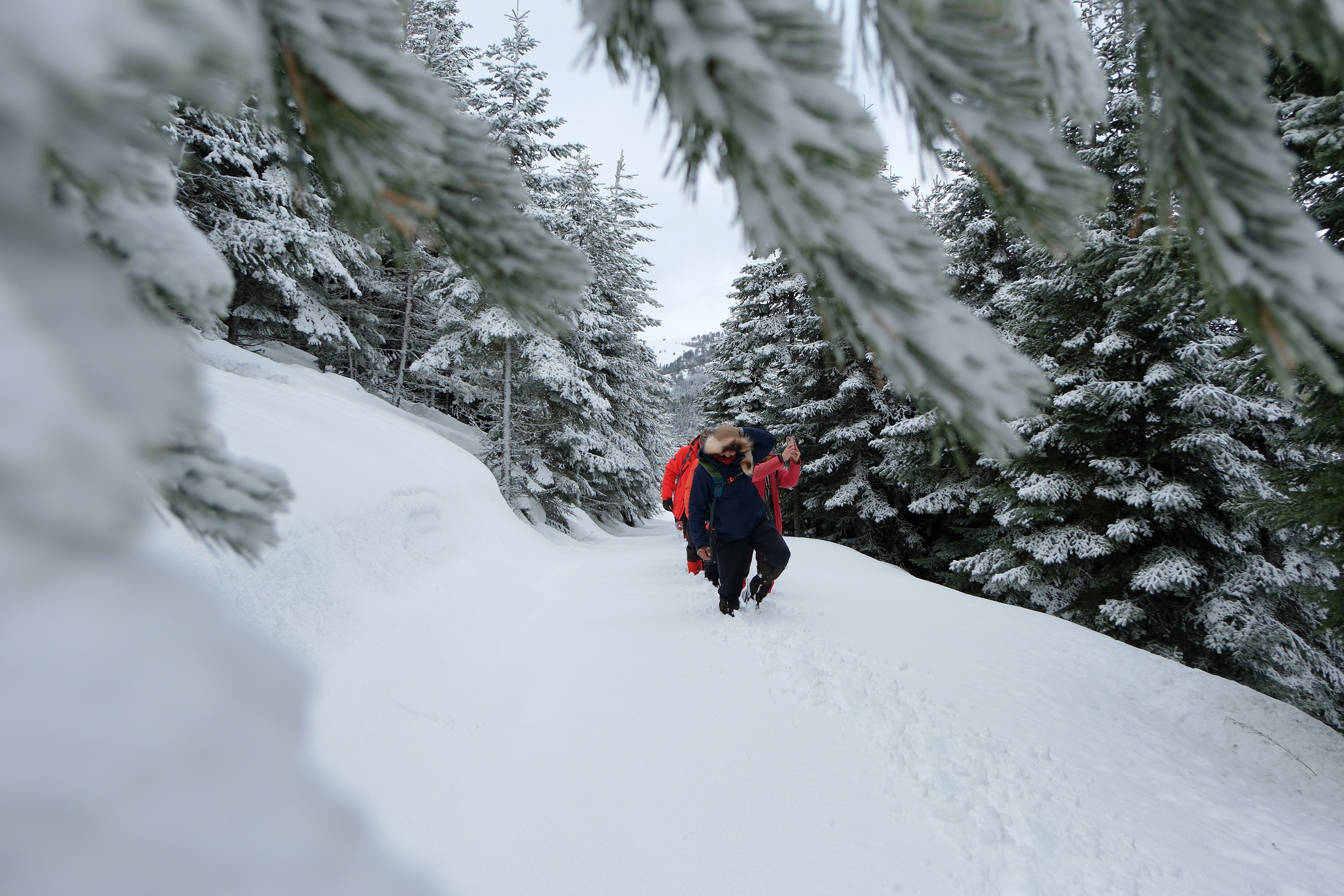 Gümüşhane’de Alpleri Aratmayan Kar Yürüyüşü (1)