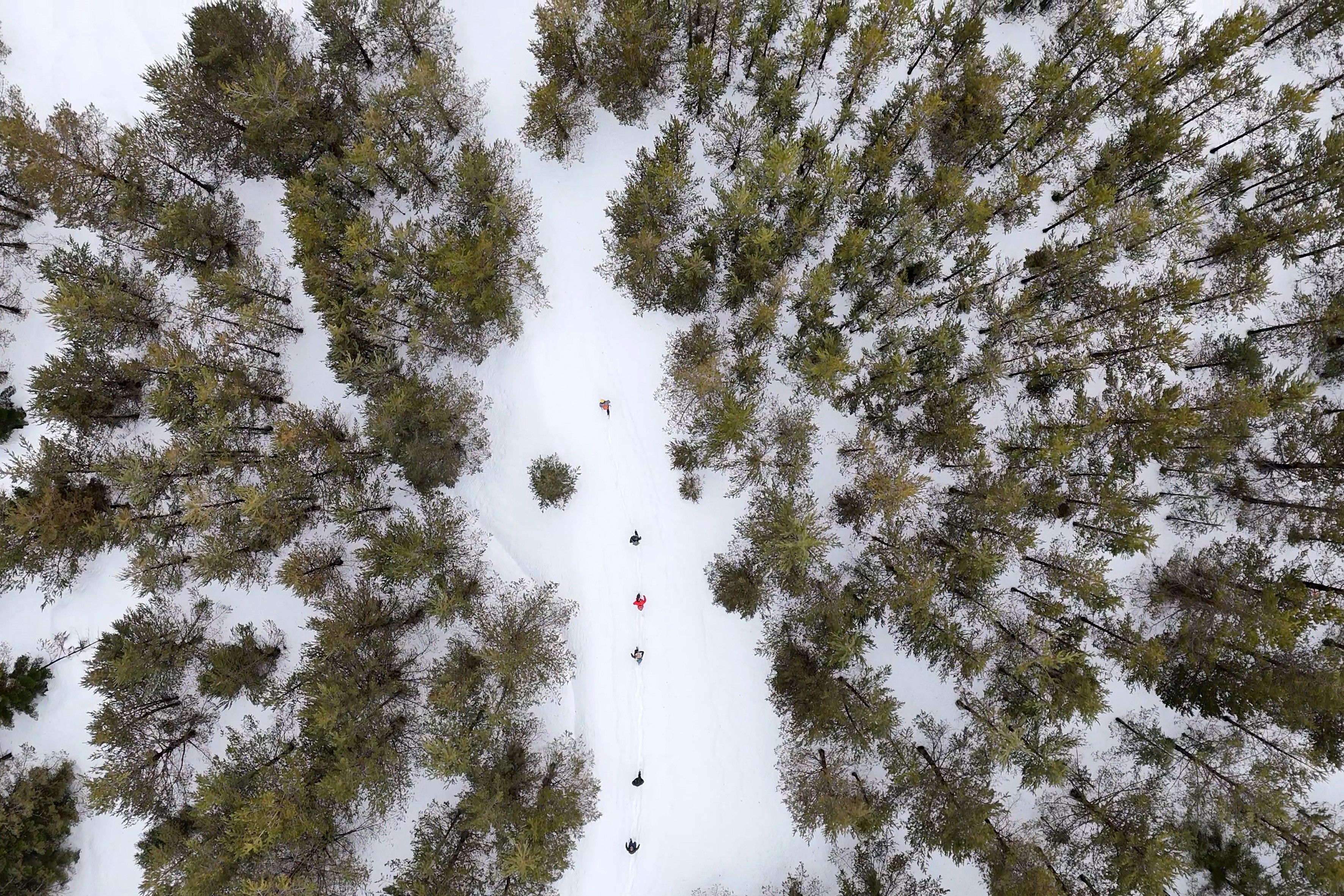 Gümüşhane’de Alpleri Aratmayan Kar Yürüyüşü (7)