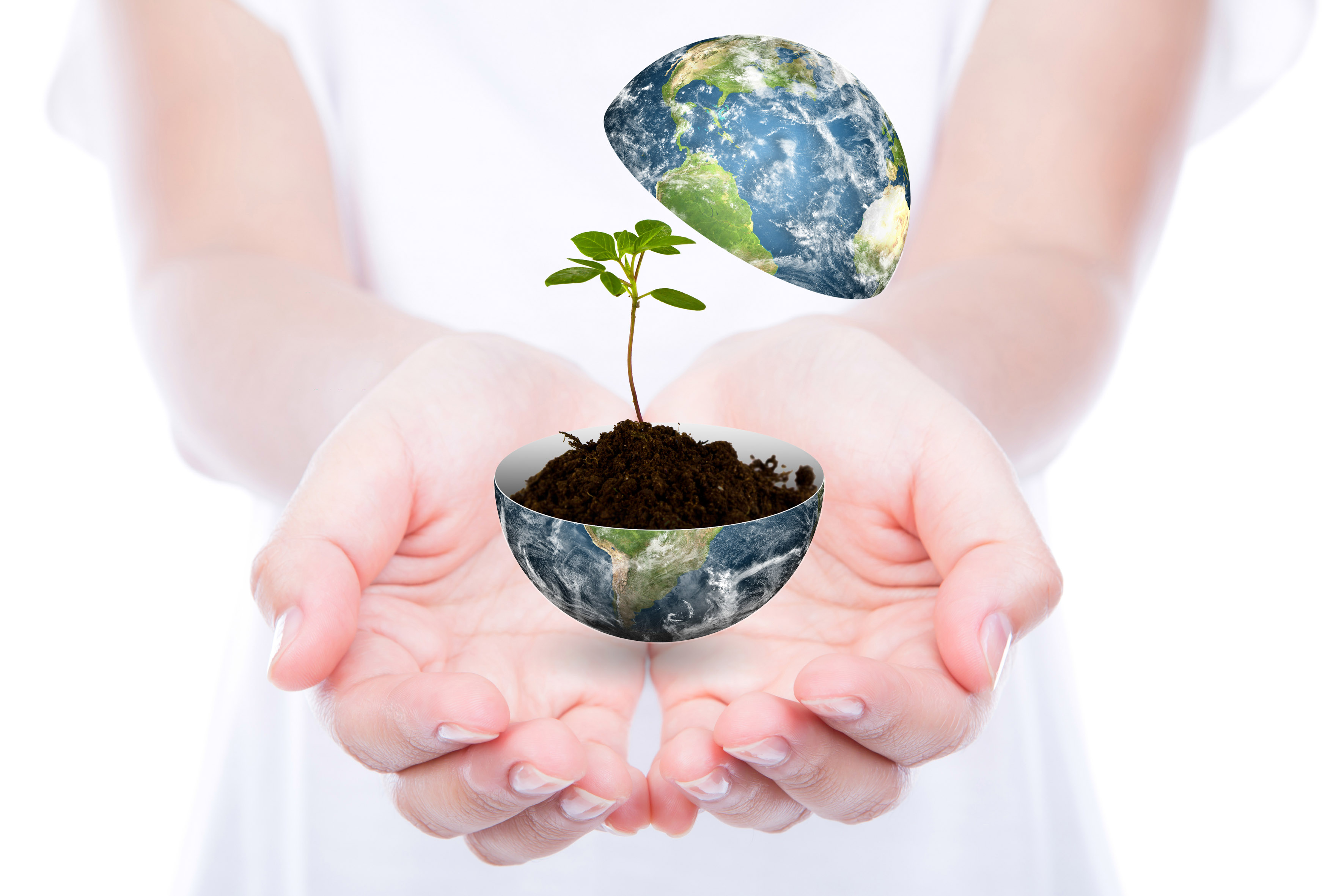 İklim Değişikliği Ve Sıfır Atık Müdürlüğü Let's Do It Genç Eko Lansman (1)