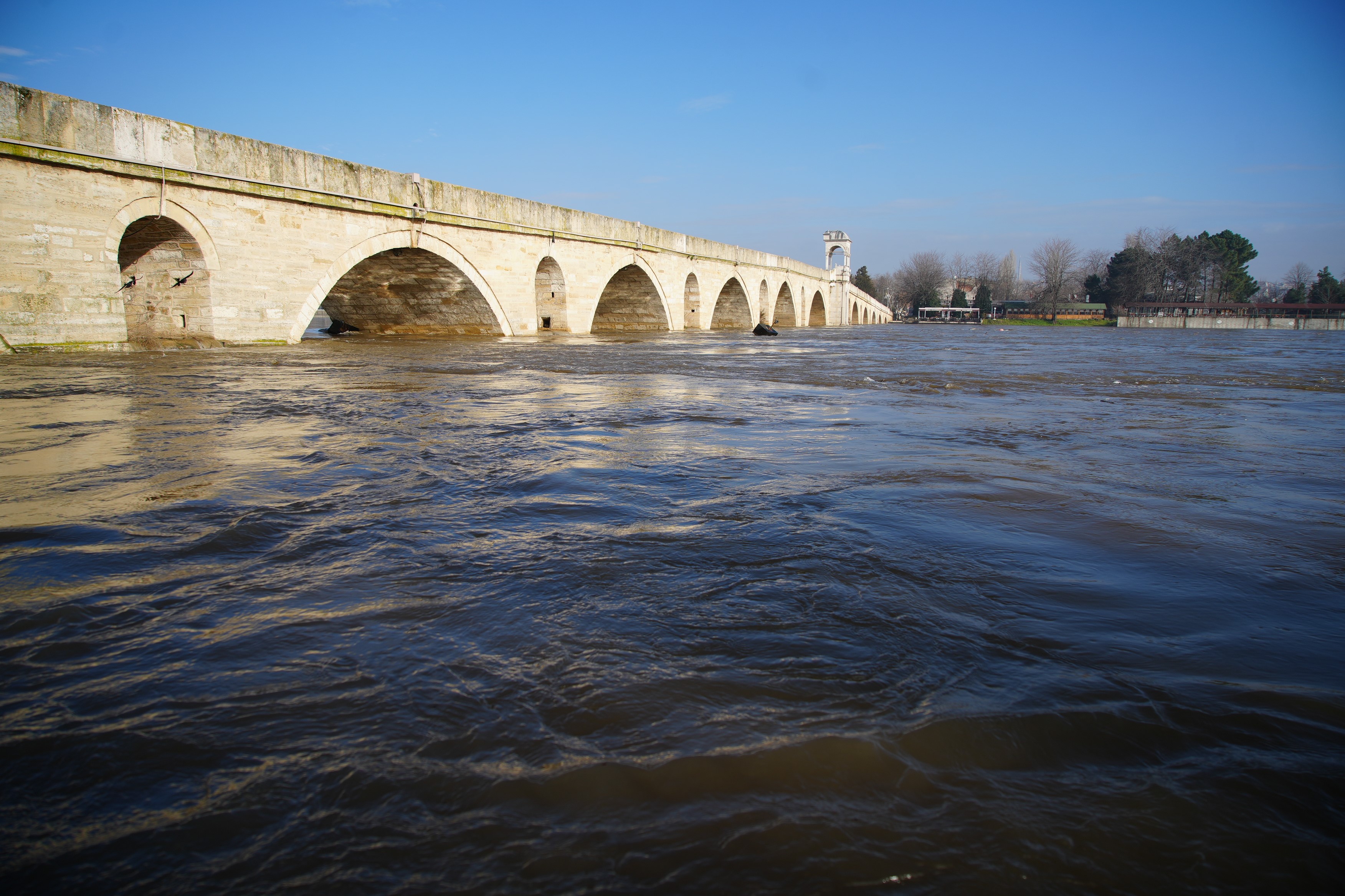 Meriç Debi (3)