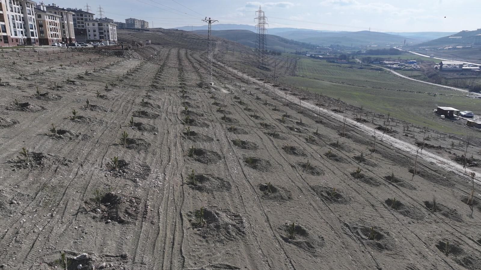 Saraycık Düzenleme (5)