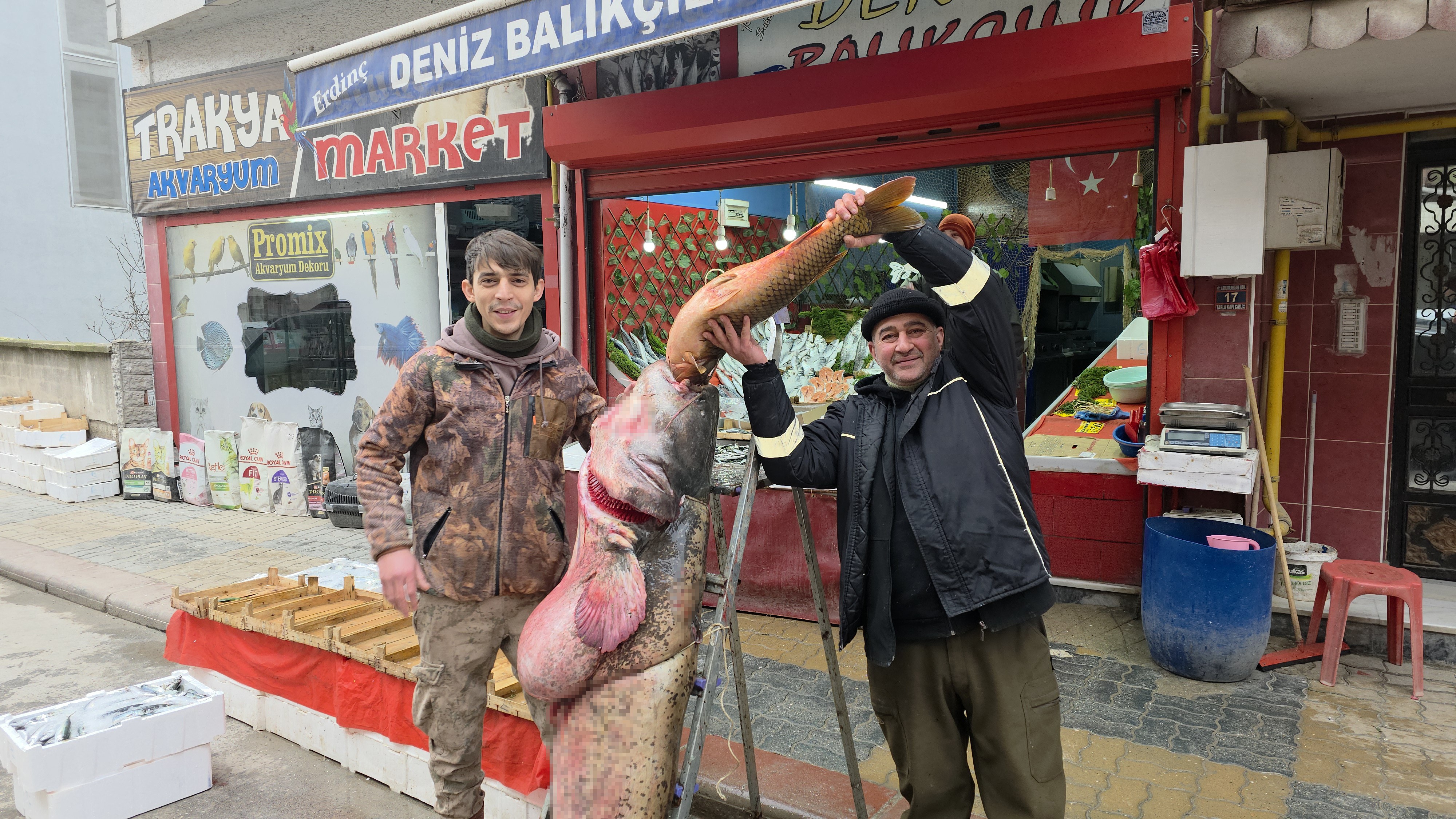 Yayın Balığı (2)