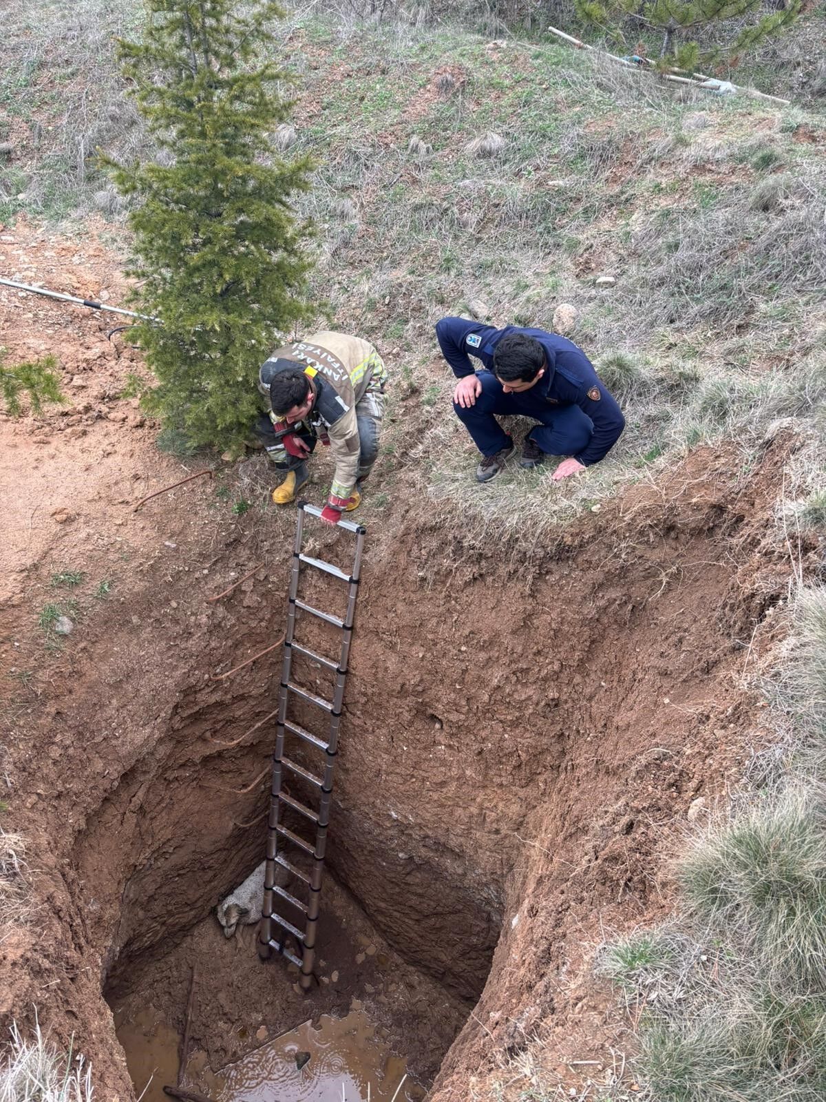 Akyurt'ta kaçak kazı çukuruna düşen köpek kurtarıldı - 2