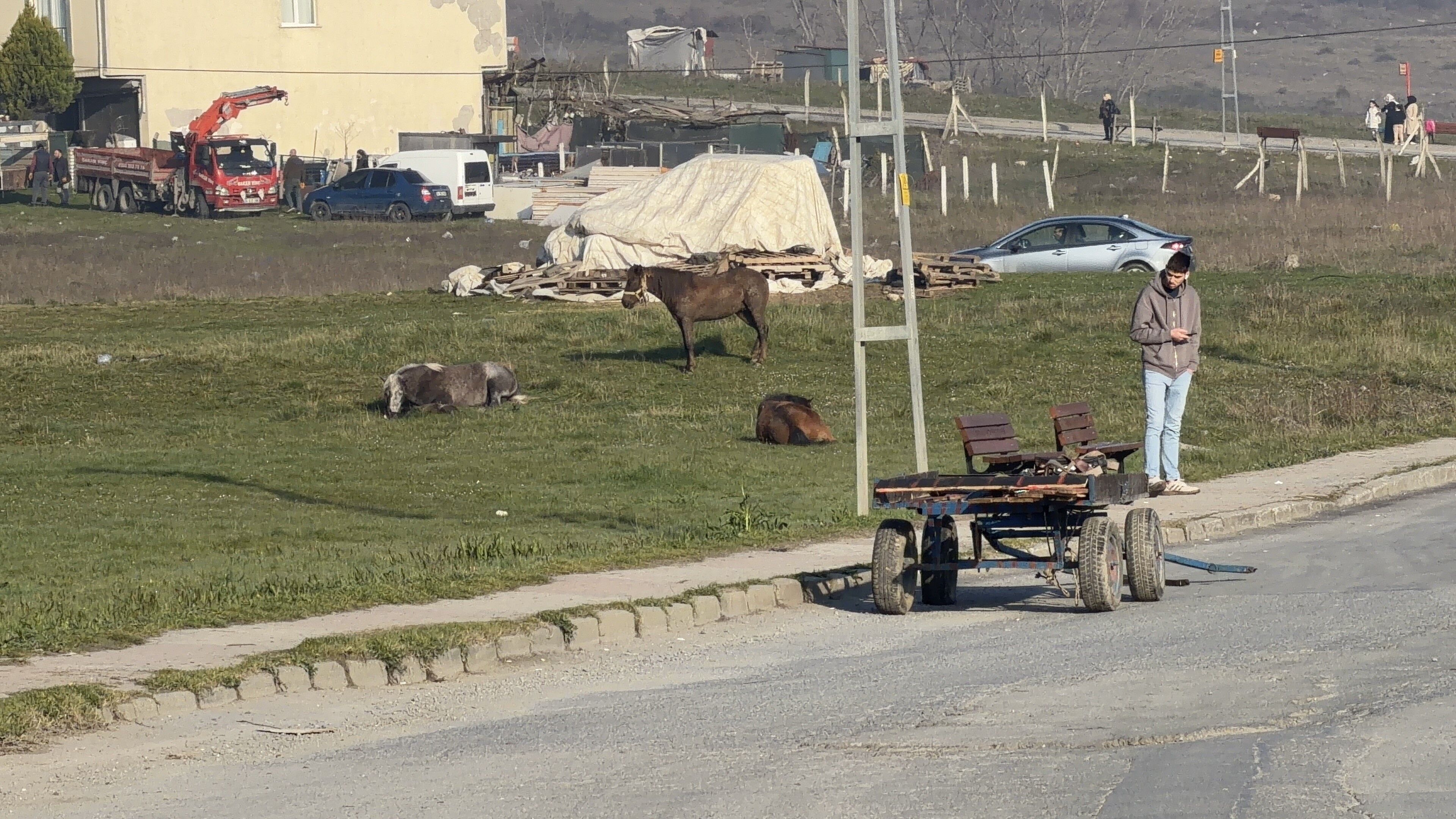 atlar kazaya neden oldu