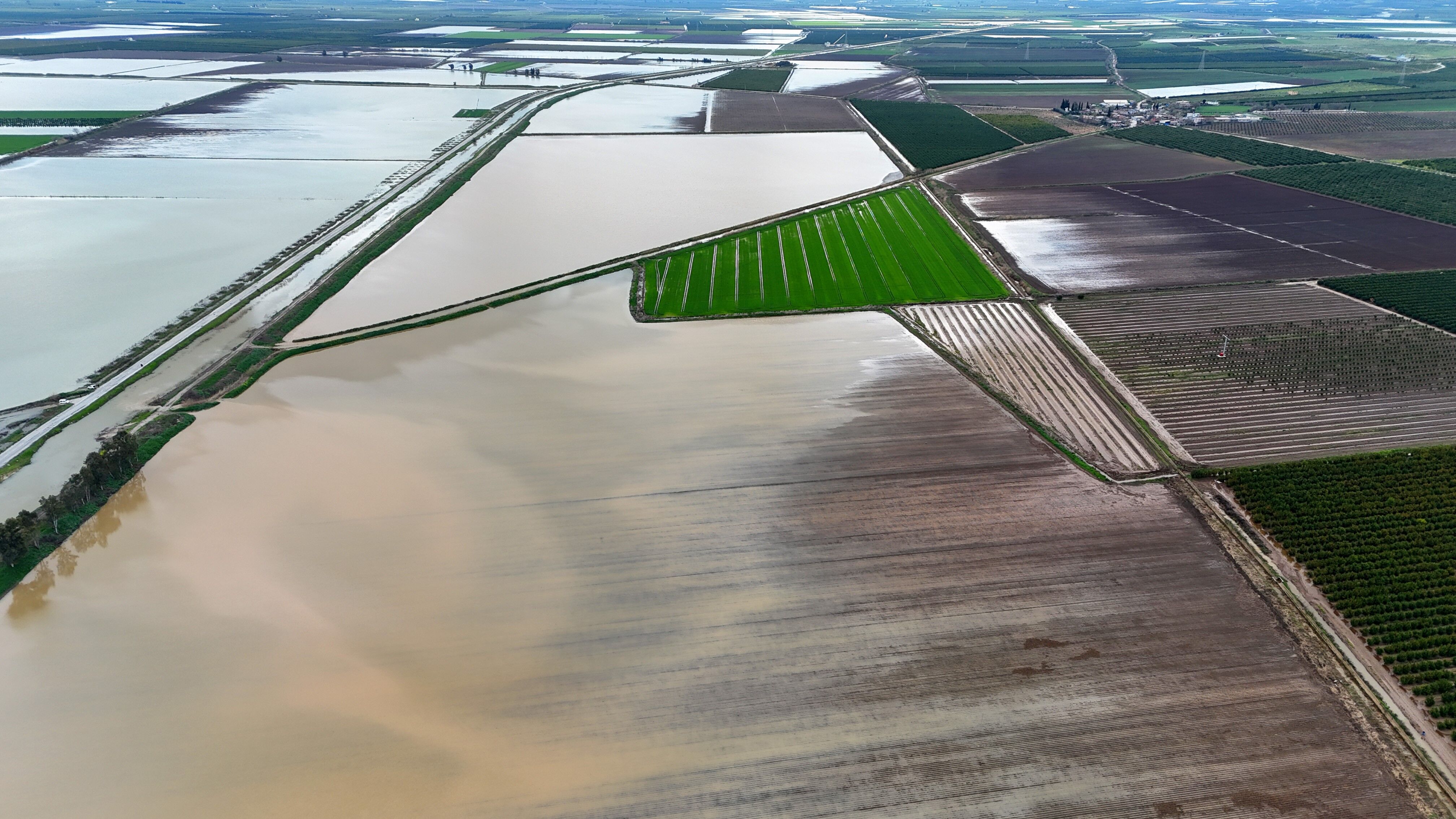 Adana’da Yağış Sonrası Tarım Arazileri Zarar Gördü (4)