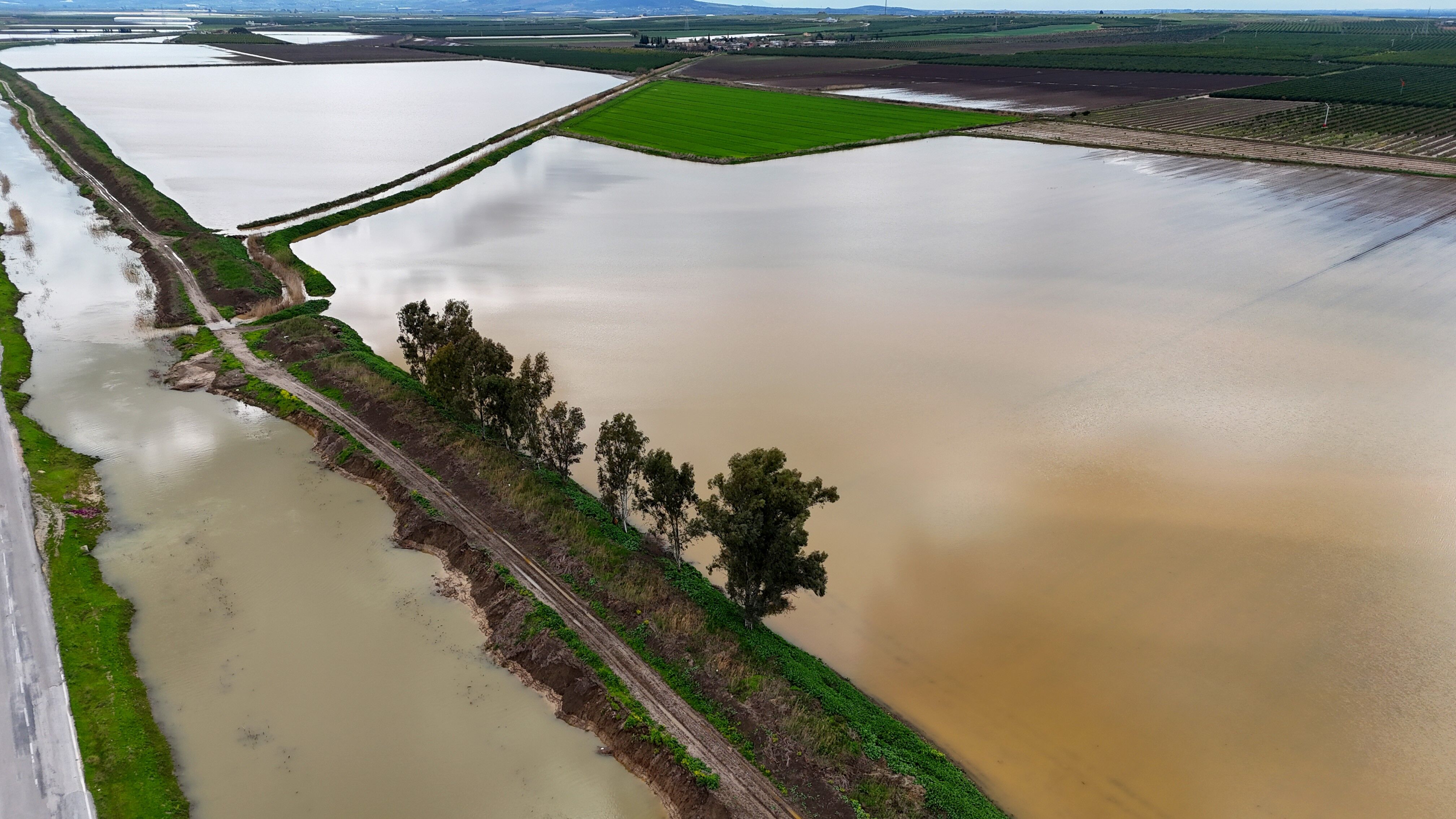 Adana’da Yağış Sonrası Tarım Arazileri Zarar Gördü (5)