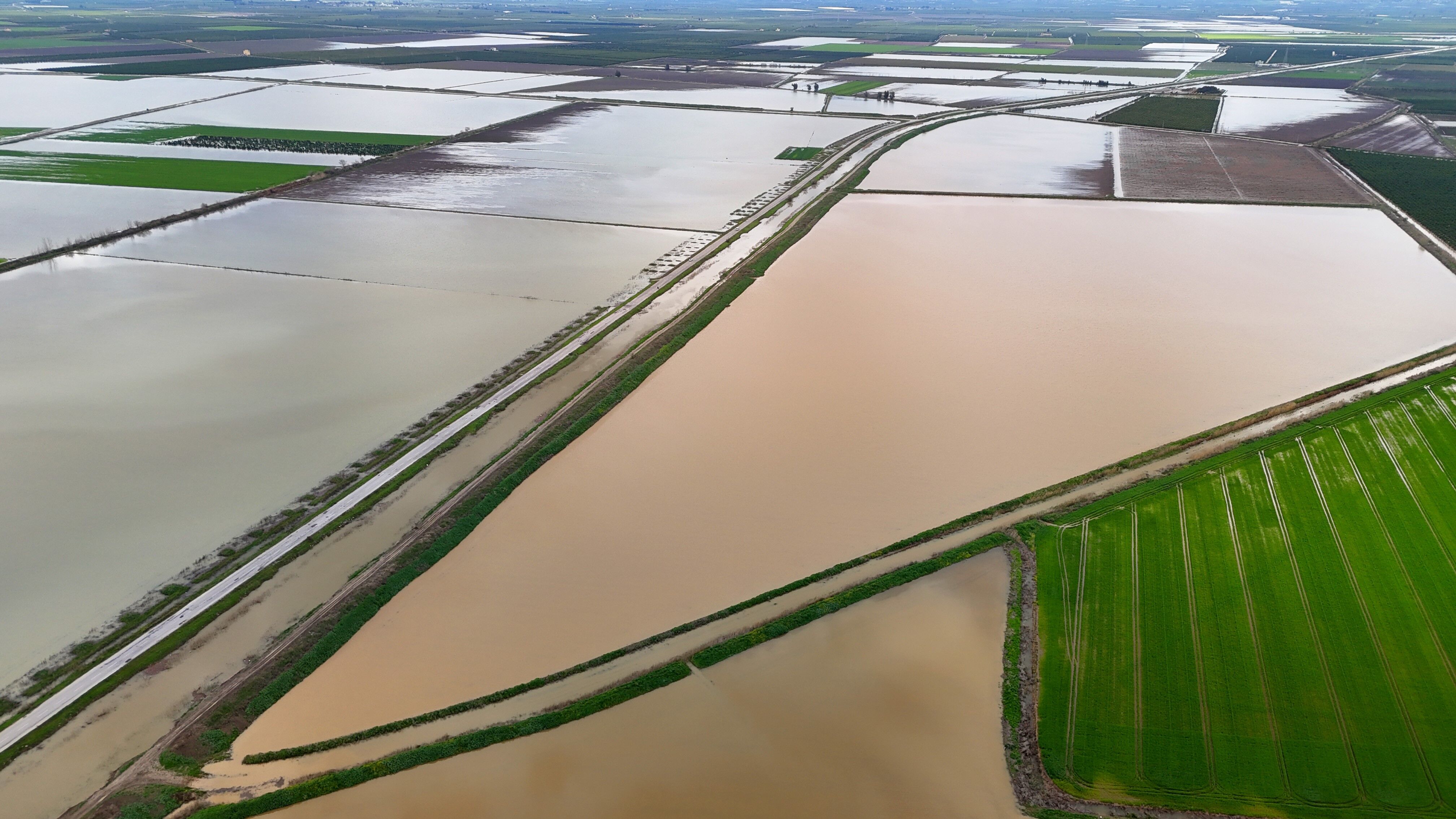 Adana’da Yağış Sonrası Tarım Arazileri Zarar Gördü (6)