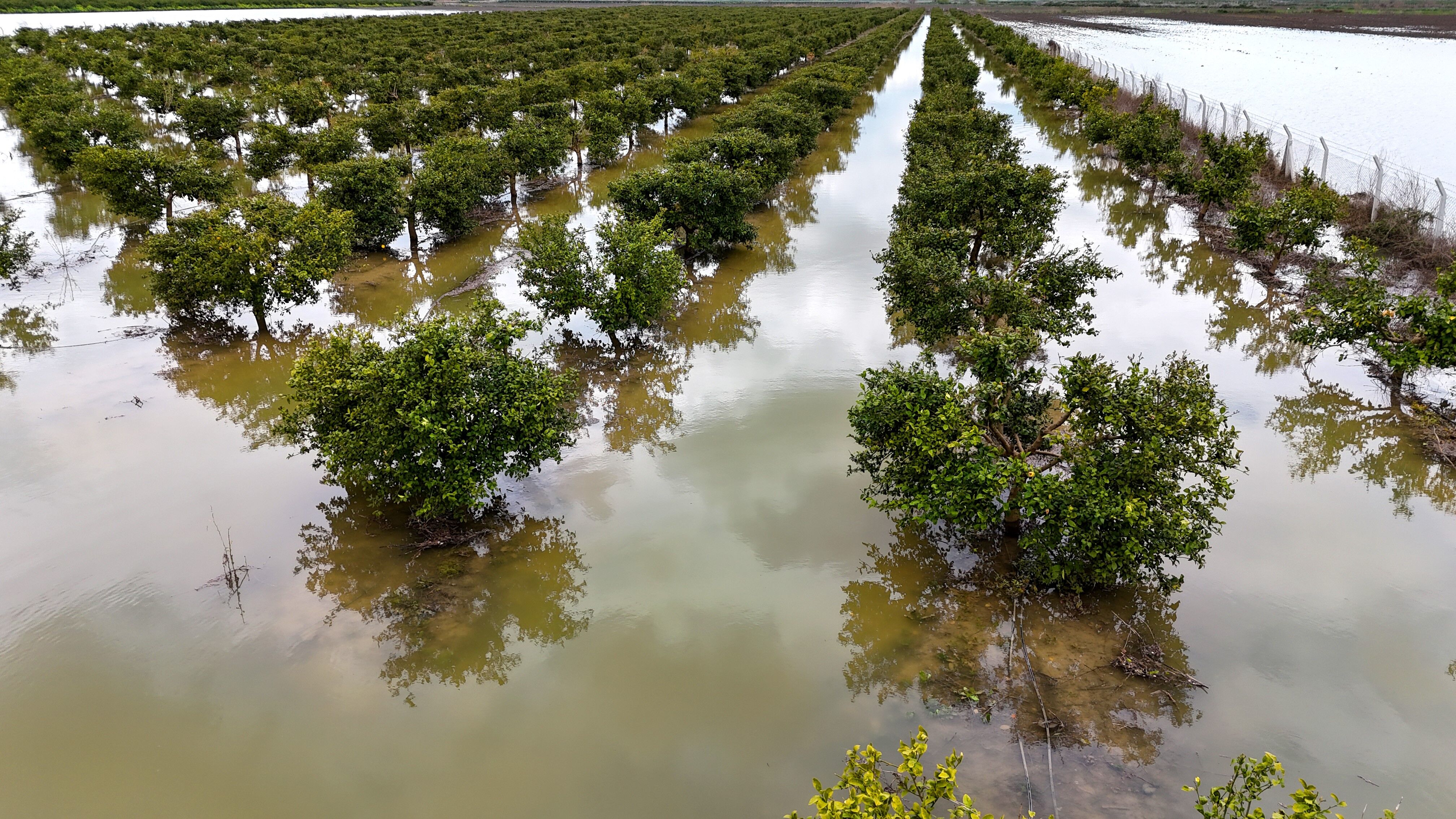 Adana’da Yağış Sonrası Tarım Arazileri Zarar Gördü (7)