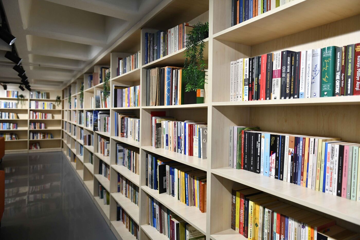 Ankara’da Genç Akademi Sayısı 10’A Ulaştı (2)