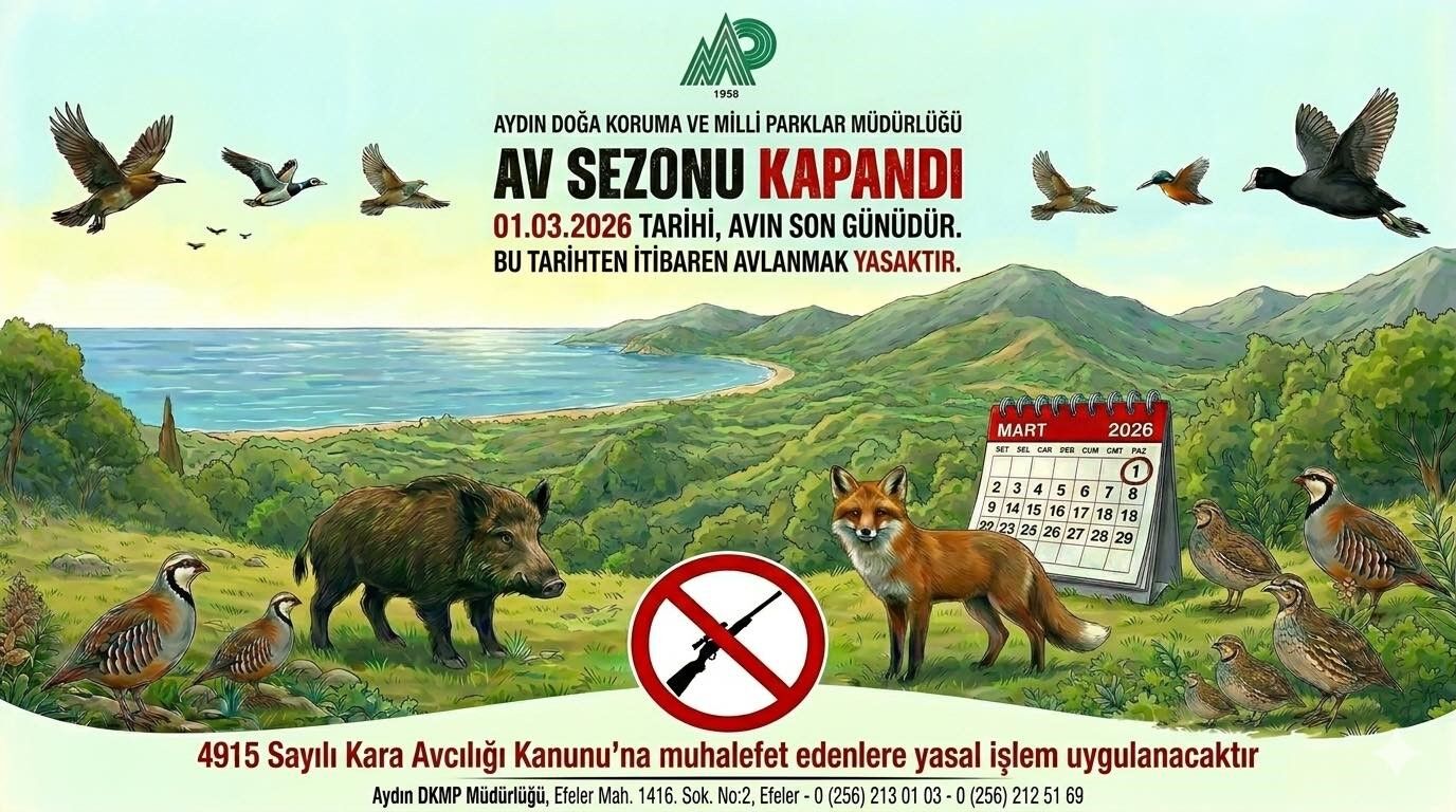 Av Sezonu (2)