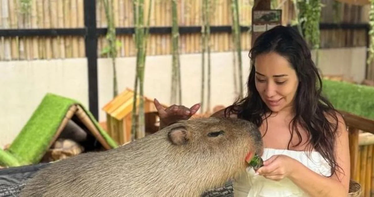 Dijan Nazlan Köse (4)