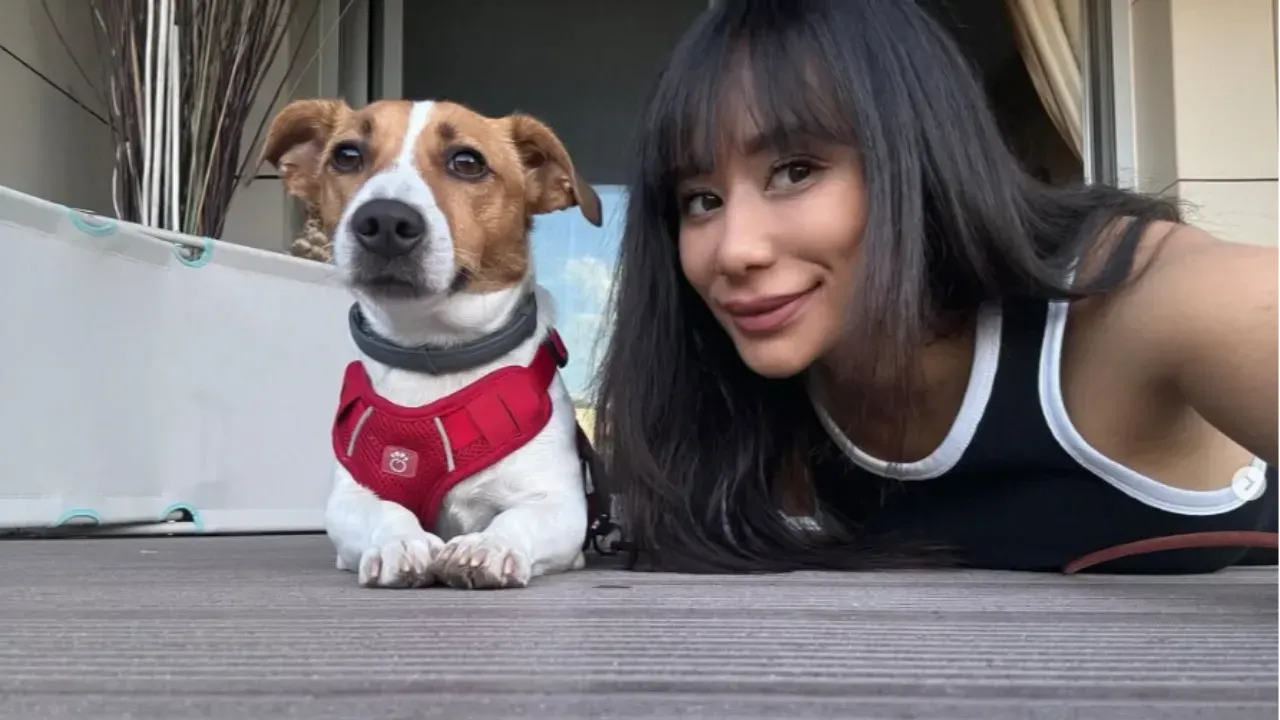 Dijan Nazlan Köse (8)