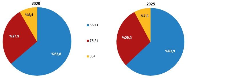 İstatistiklerle Yaşlılar 2025 (15)