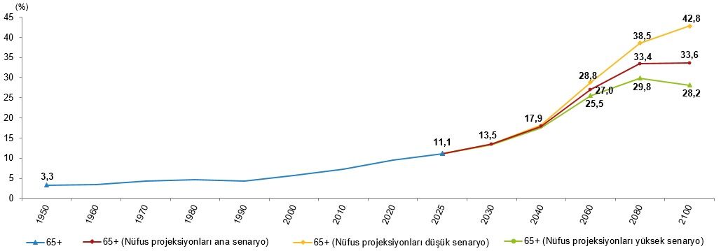 İstatistiklerle Yaşlılar 2025 (16)