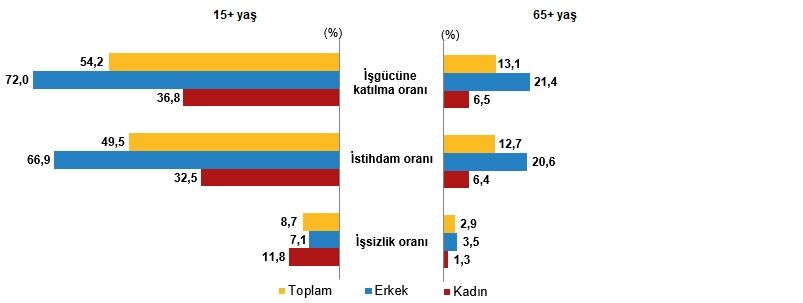 İstatistiklerle Yaşlılar 2025 (4)