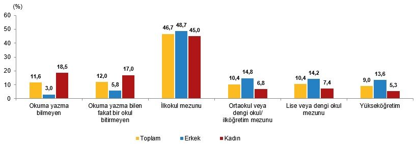 İstatistiklerle Yaşlılar 2025 (6)