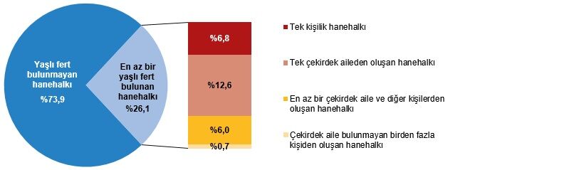 İstatistiklerle Yaşlılar 2025 (9)