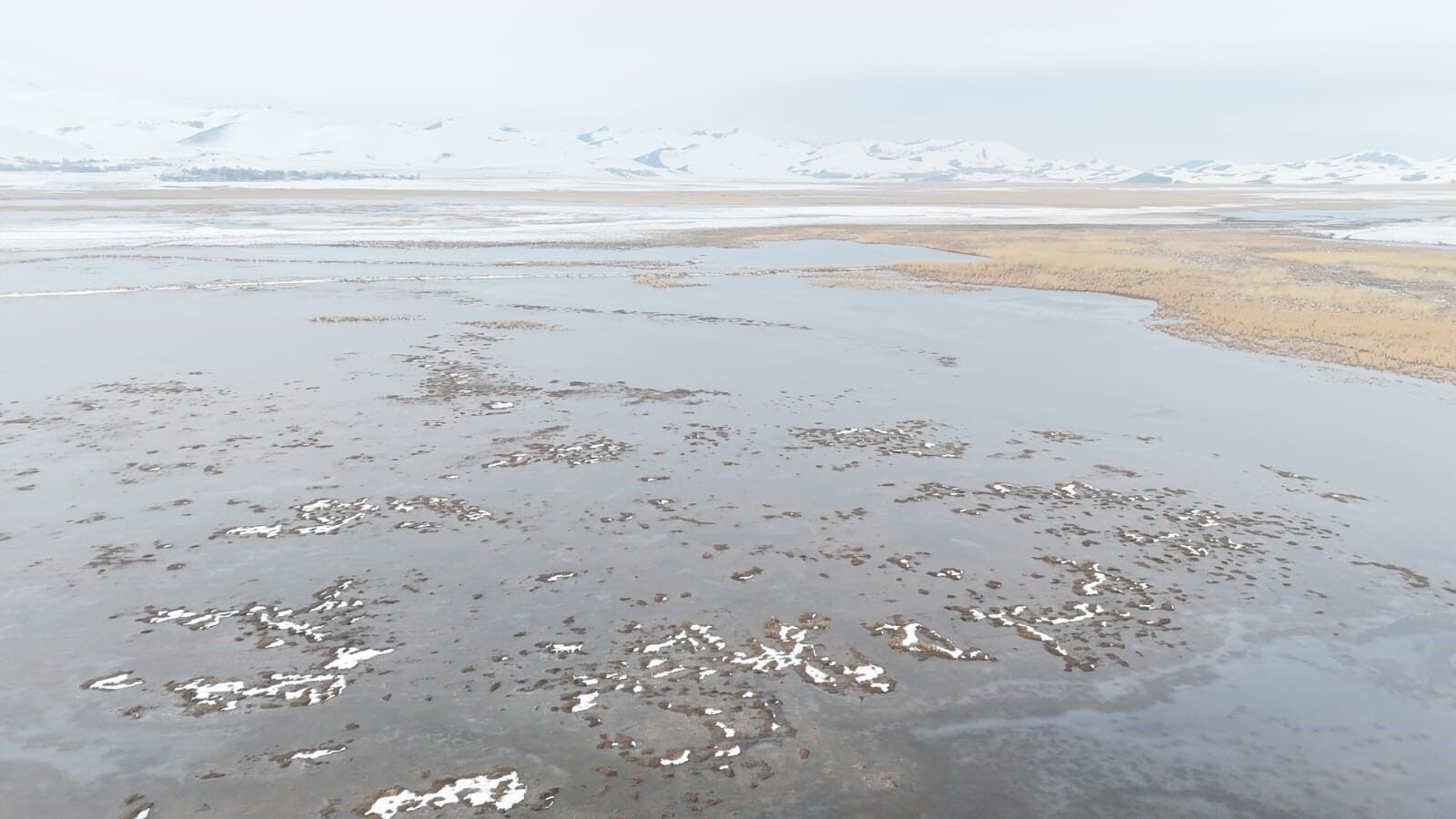 Sarısu Sazlıkları (3)