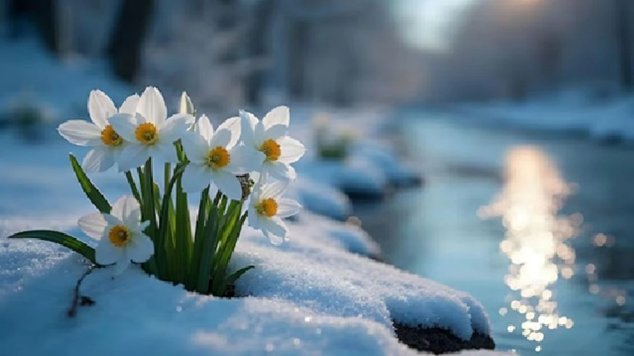 Üçüncü Cemre Toprağa Ne Zaman Düşecek (2)