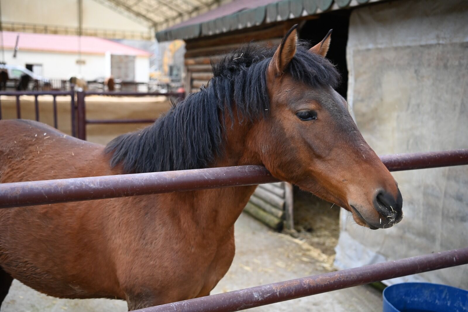 13.04.2026 Üreğil’de Köklü Dönüşüm (13)