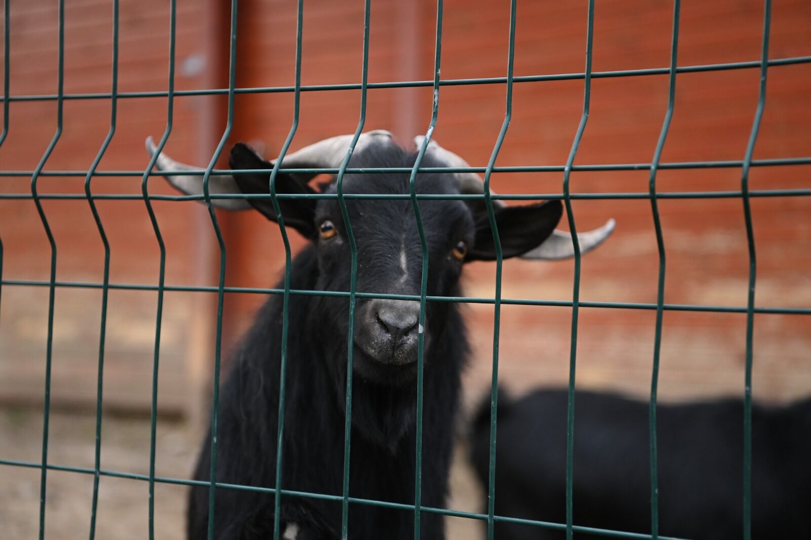 13.04.2026 Üreğil’de Köklü Dönüşüm (2)