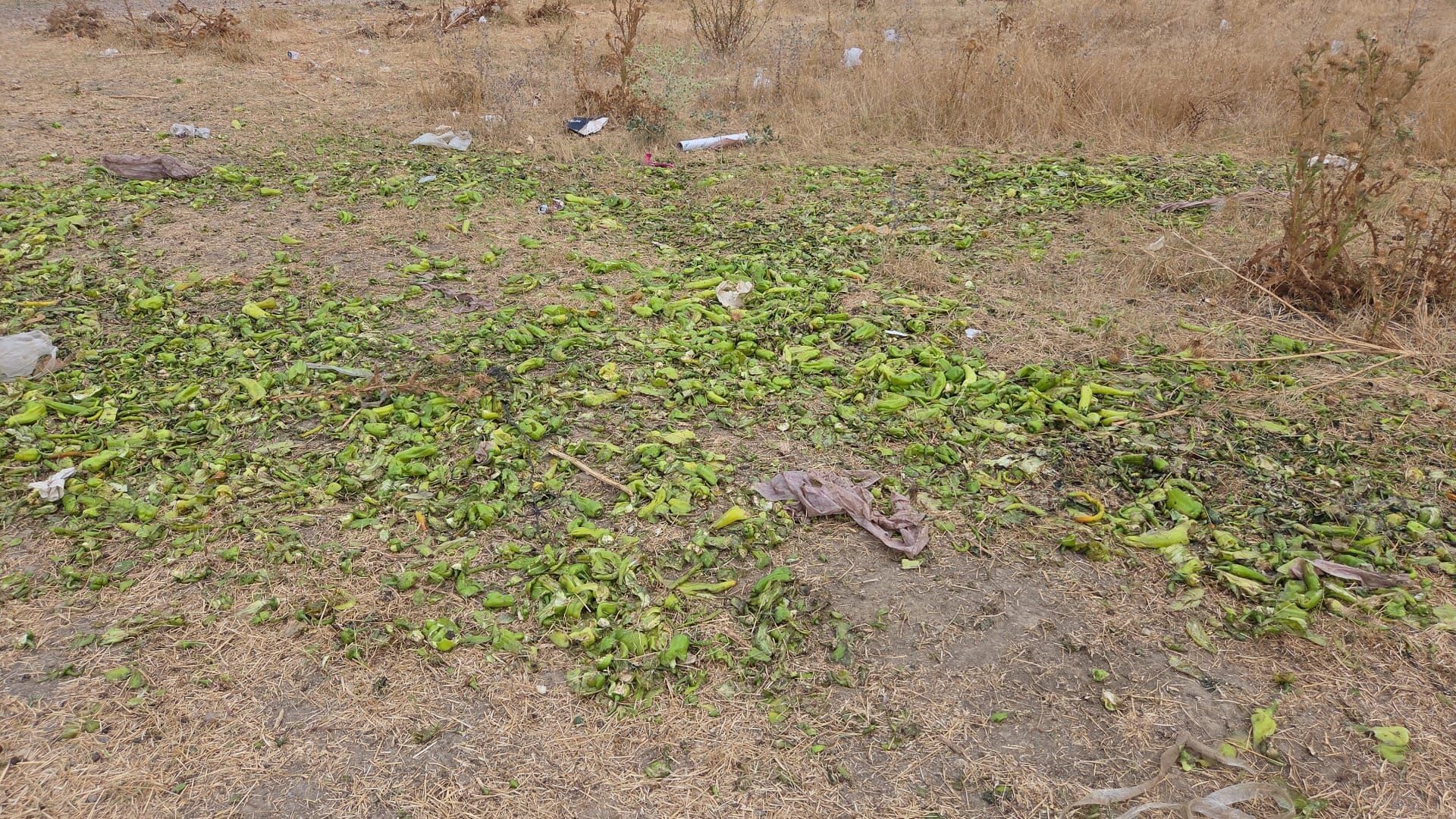 Ticaret Bakanlığı biber açıklama