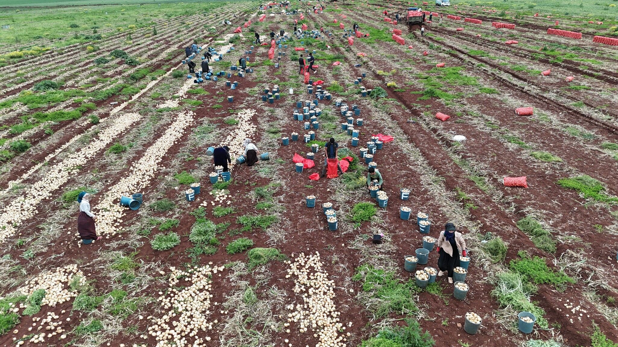 A W686021 07 Optimized