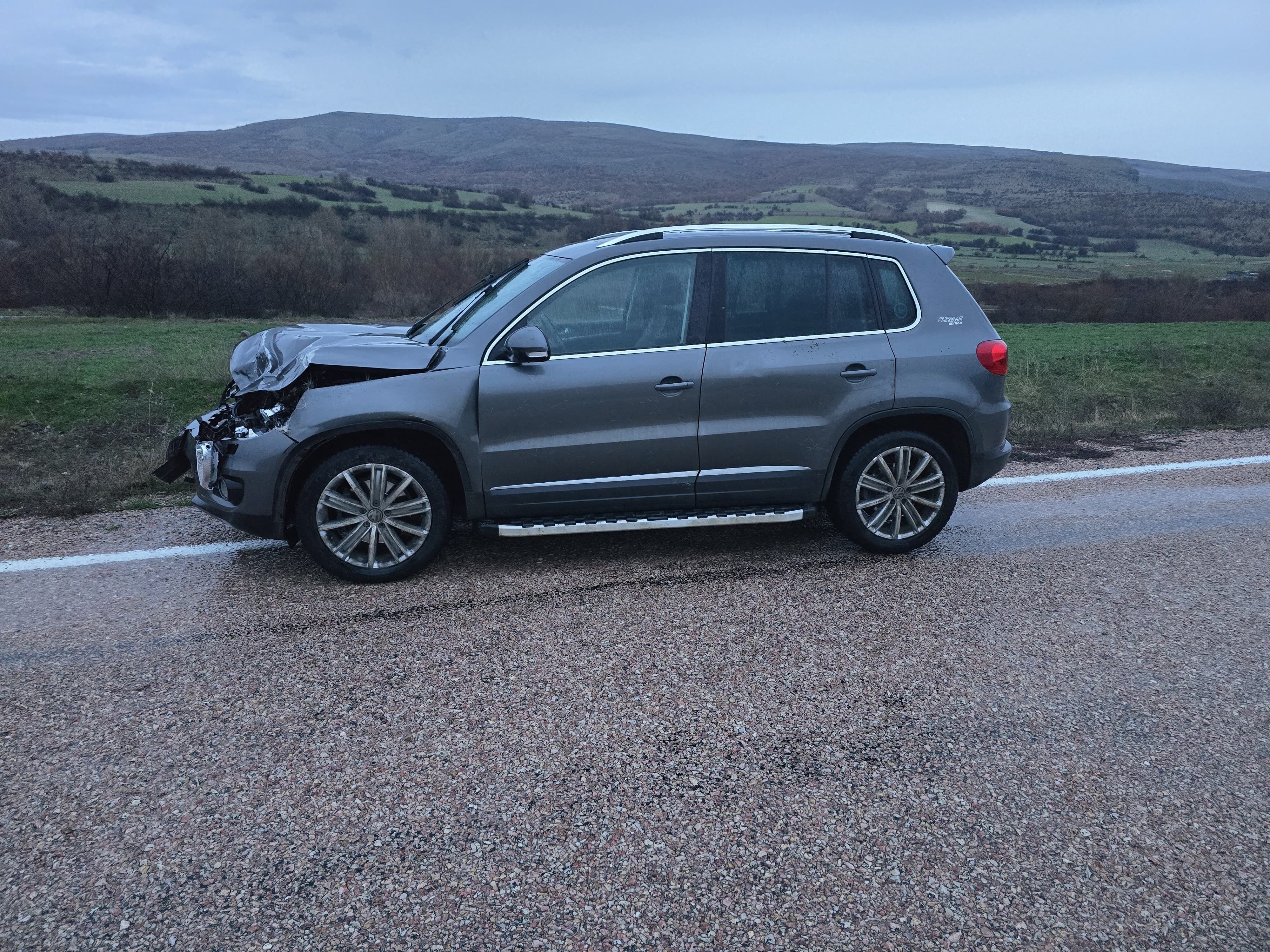 Ankara’da araç geyiğe çarptı, hayvan telef oldu - 3