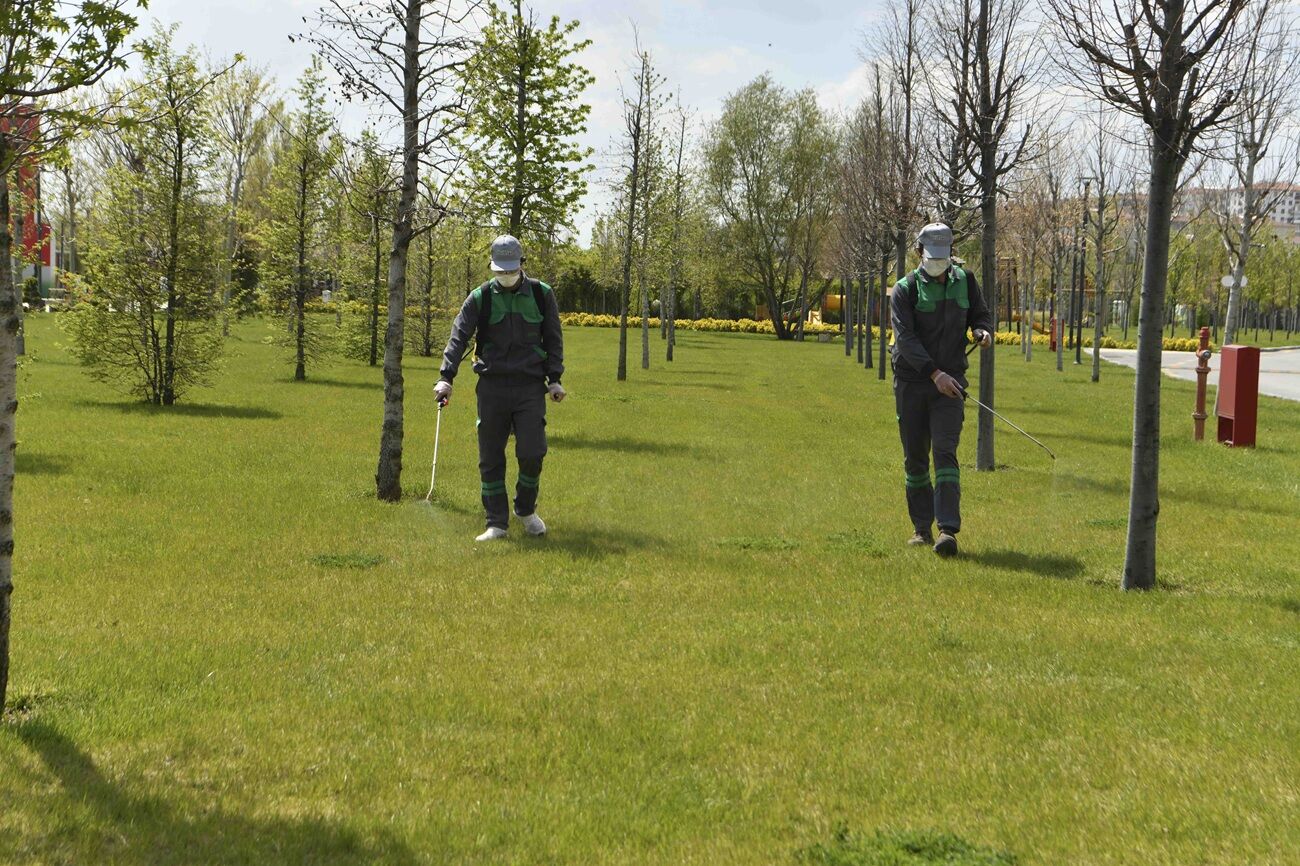 Ankara’da 724 Haşere Ilaçlama (4)