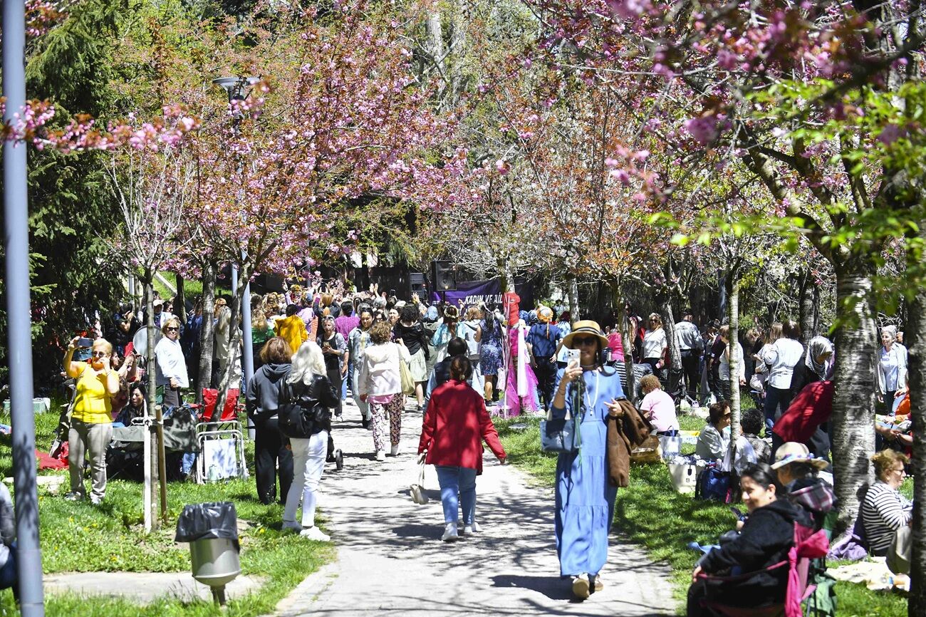 Ankara’da Sakura Şenliği Ile Bahar Karşılandı (2)