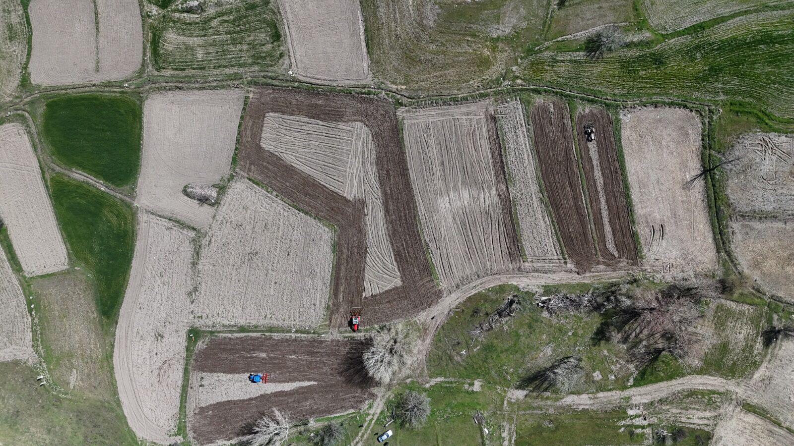 Beyaz Altin'in Yolculuğu Başladi. (5)