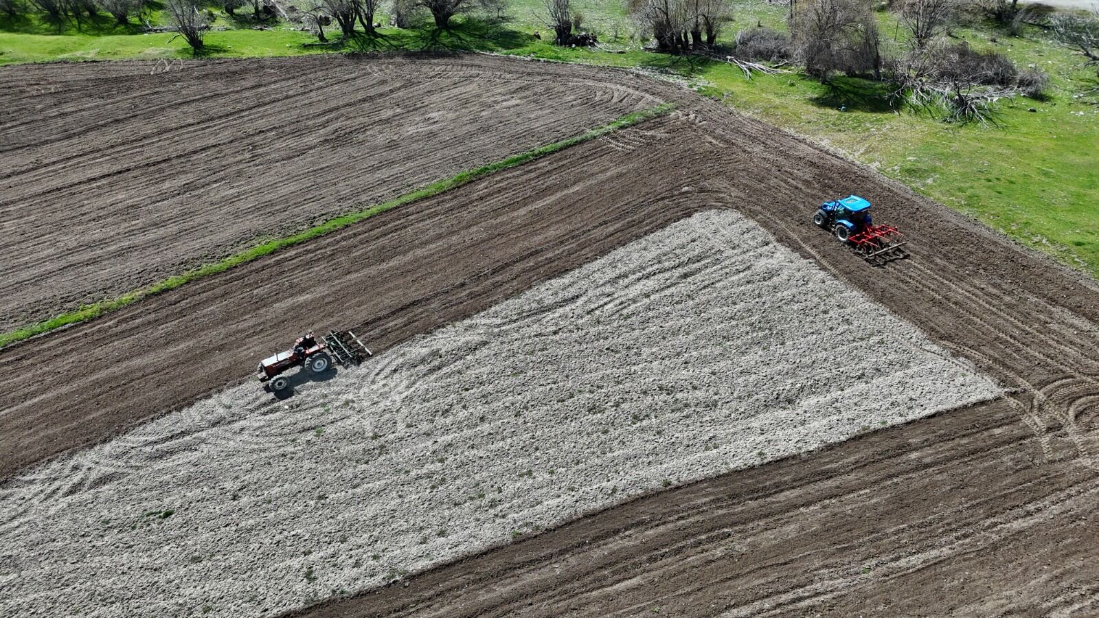 Beyaz Altin'in Yolculuğu Başladi.