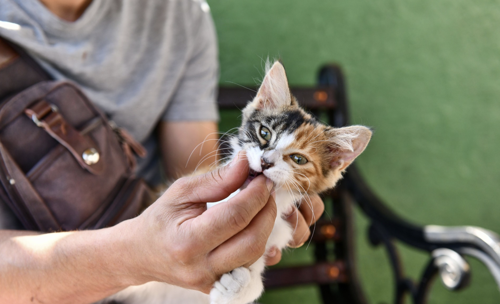 Ekran Resmi 2026 04 04 21.28.45