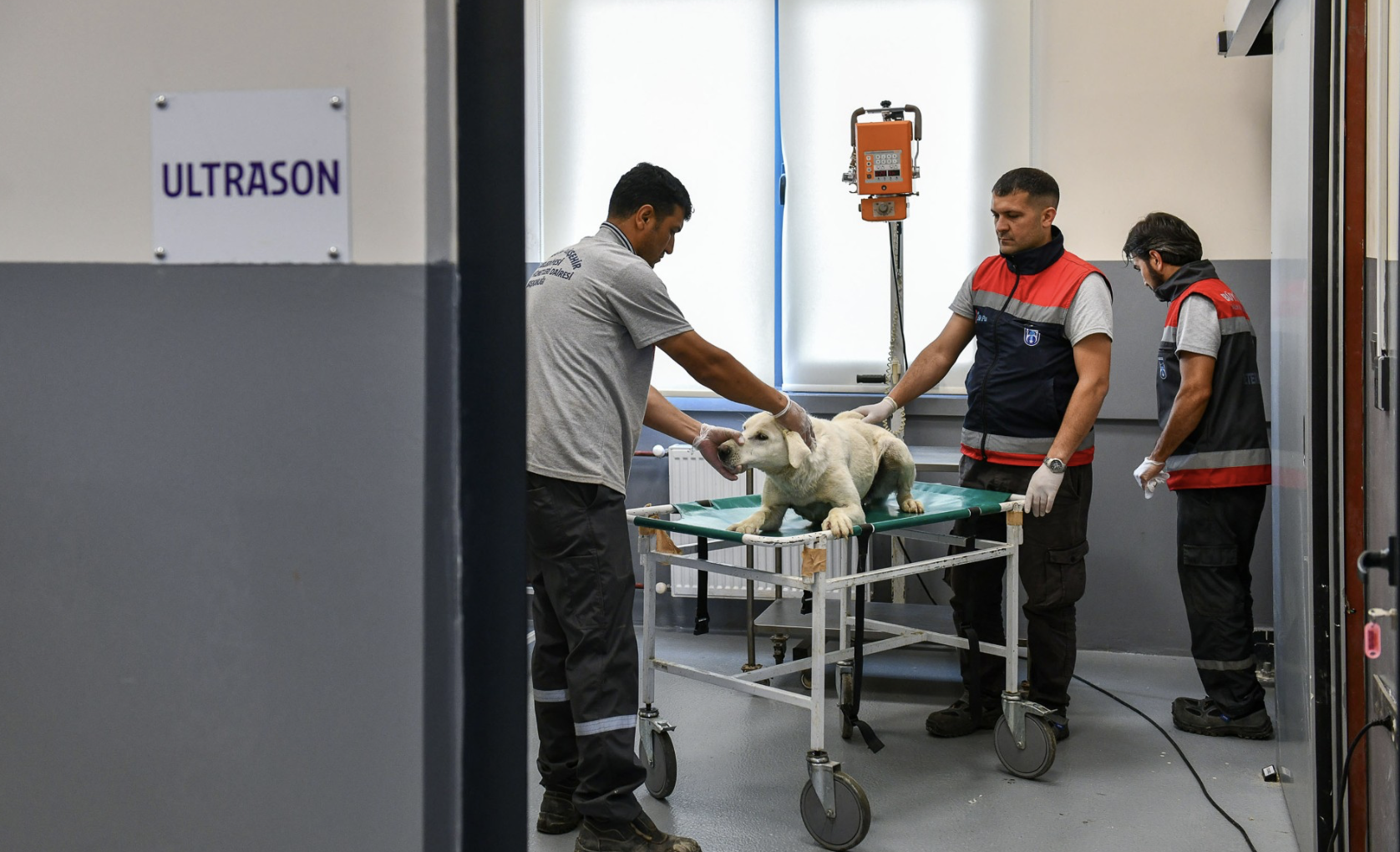 Ekran Resmi 2026 04 04 21.28.49