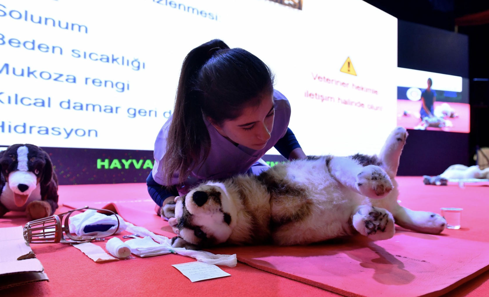 Ekran Resmi 2026 04 04 21.28.58