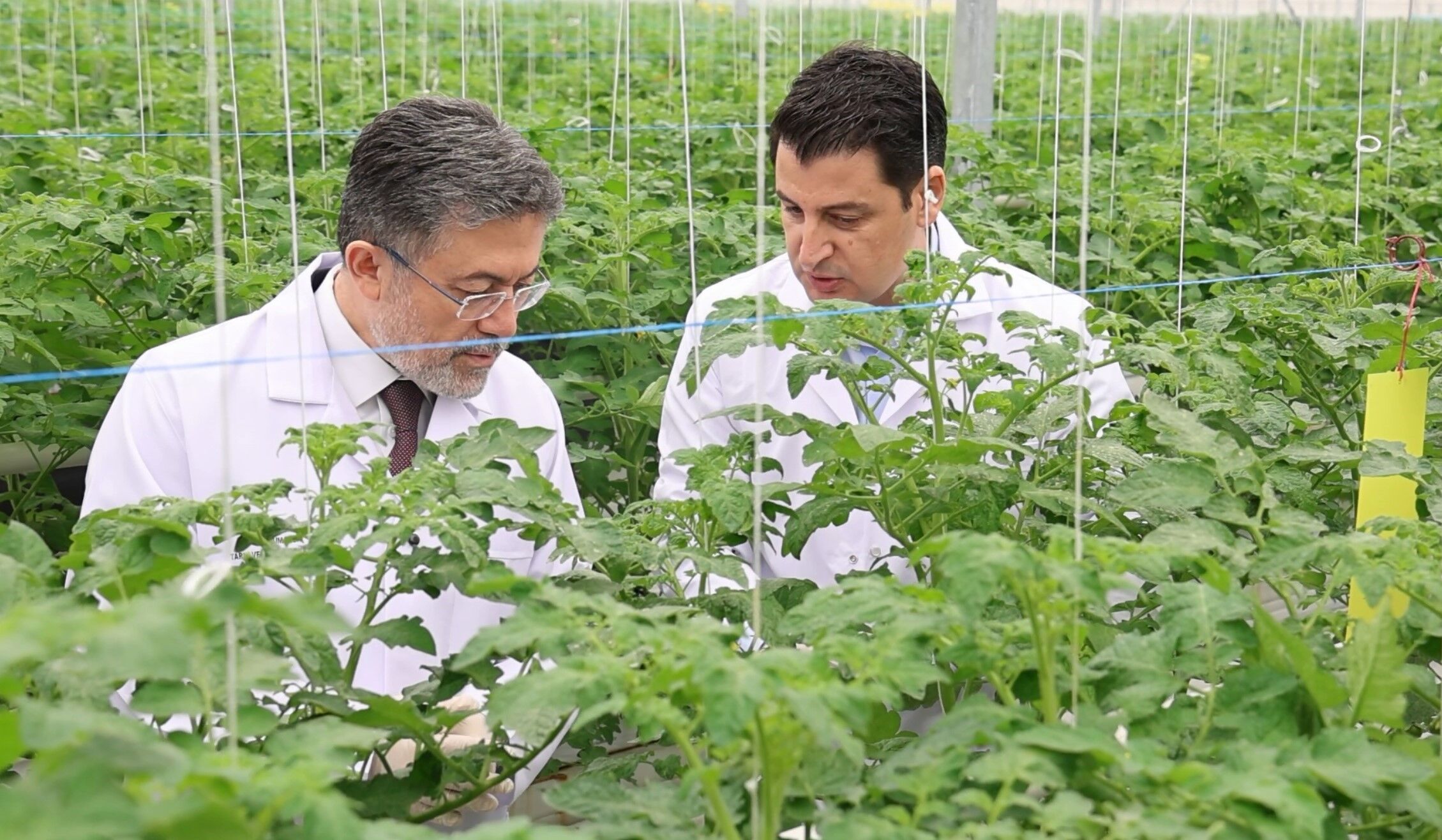 Ibrahim Yumaklı (4)-1