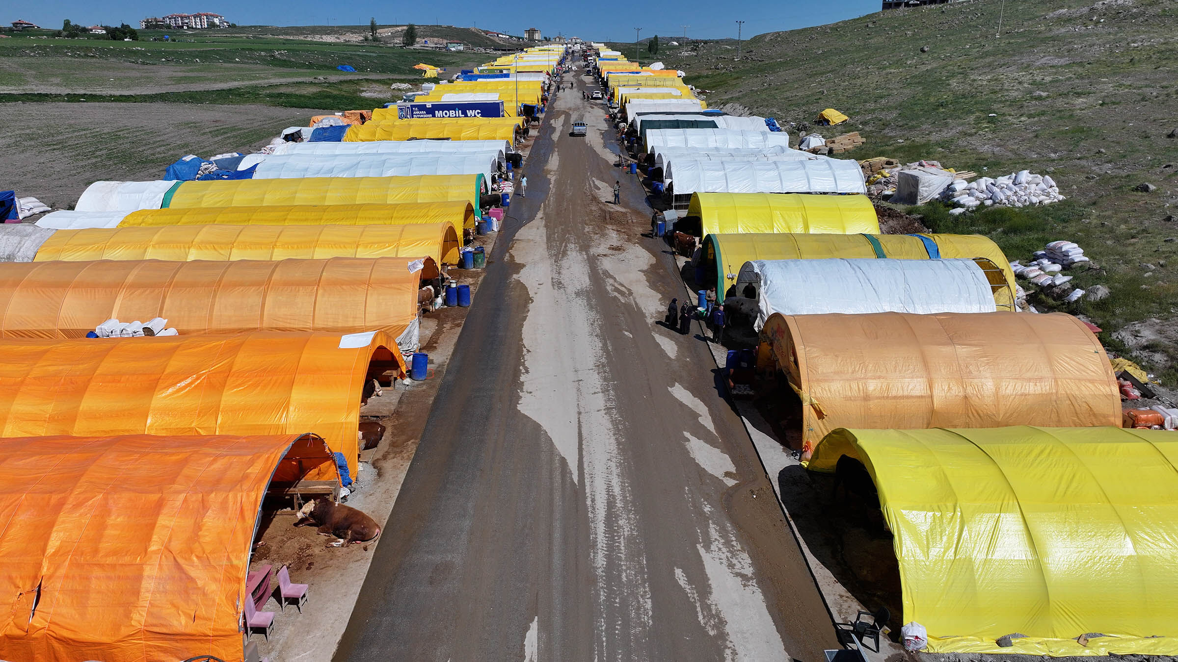 Keçiören’de Kurban Satış (1)