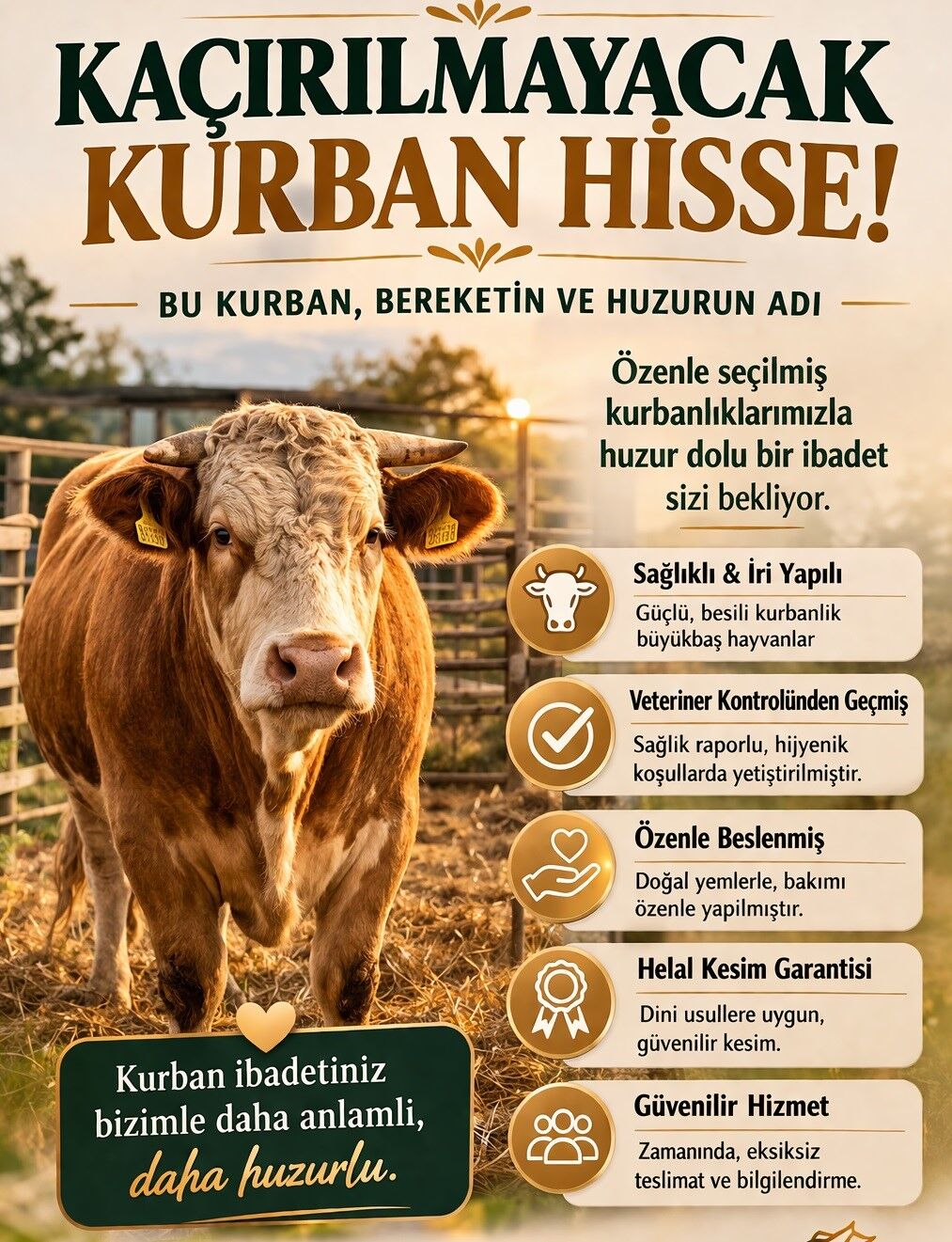 Kurban Dolandırıcılığı (2)