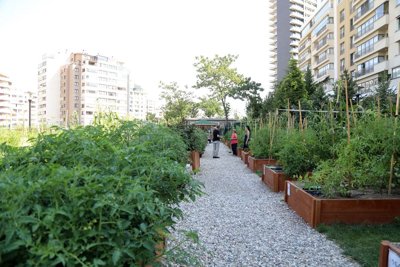 Mutlukent Kent Bostanı (2)